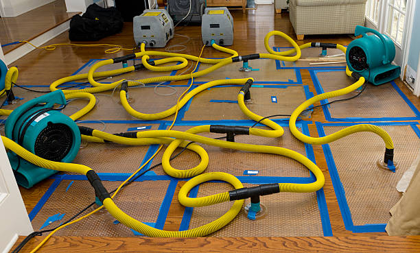 Professional Crawl Space Water Removal technician working in West, MS